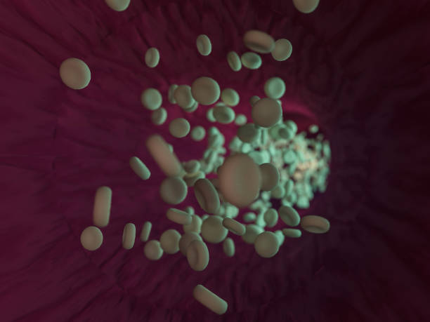 How Do Klonopin and Xanax Work?